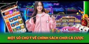 chinh sach ca cuoc anh dai dien