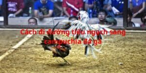 cach di duong tieu ngach sang campuchi da ga anh dai dien