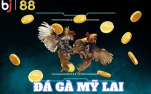 Tham gia đá gà Mỹ lai tại BJ88 để trải nghiệm trọn vẹn cá cược