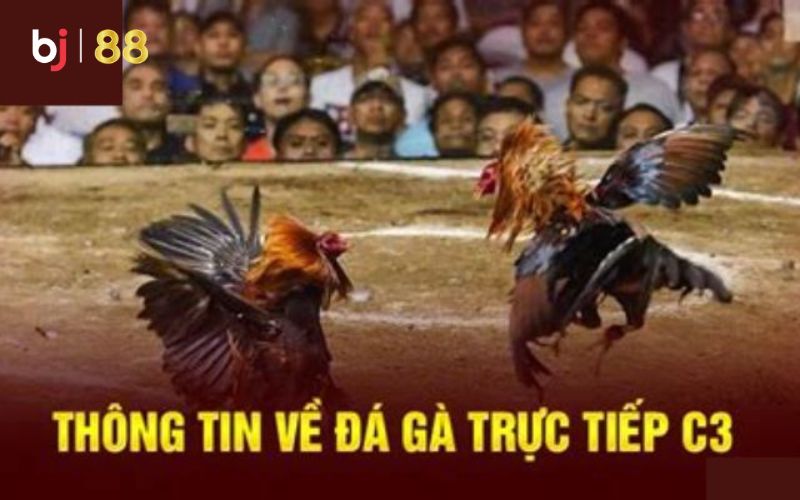Anh em hãy đọc kỹ để không mắc sai lầm nhé