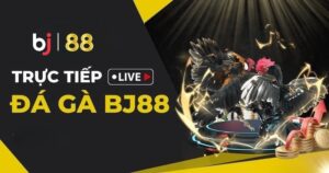 kèo đá gà trực tiếp