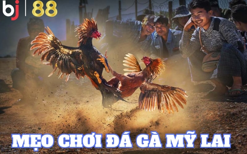 Tham khảo và áp dụng mẹo chơi hữu ích vào các trận đấu kịch tính