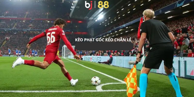 Cược chẵn lẻ trong kèo đá phạt góc