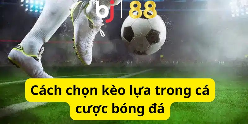 Cách chọn thể loại cược phù hợp