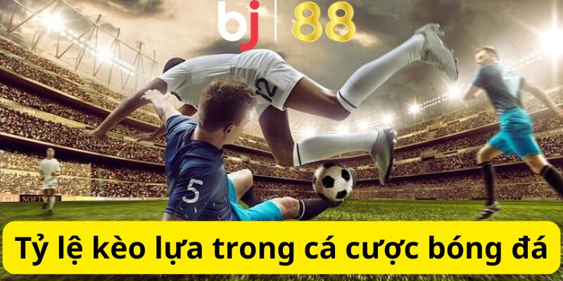 Tỷ lệ mỗi loại trong cá cược bóng đá