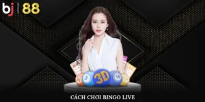 Cách chơi Bingo Live