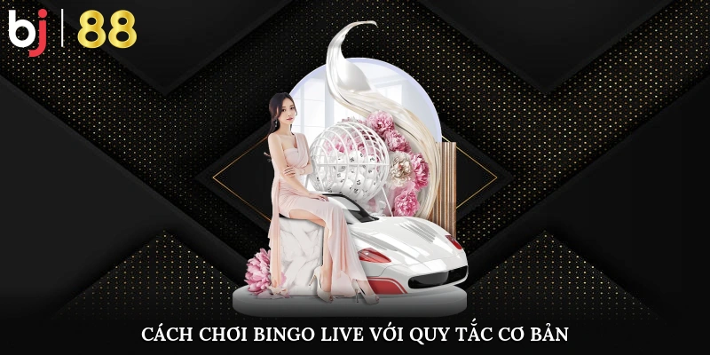 Cách chơi Bingo Live với quy tắc cơ bản