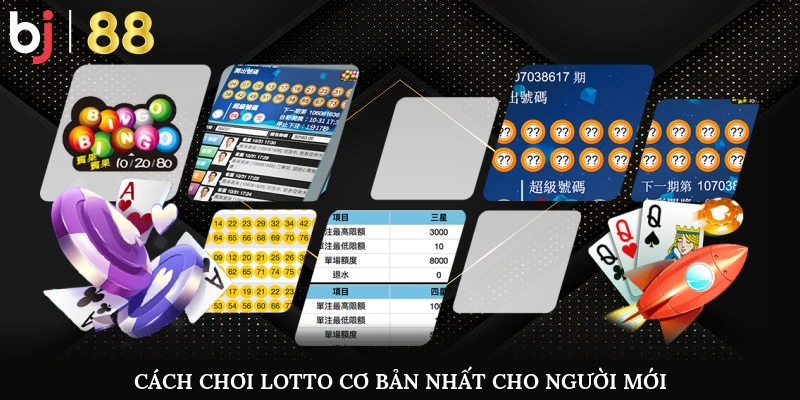 Cách chơi lotto cơ bản nhất cho người mới 
