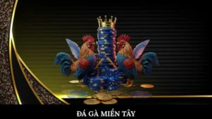 Đá gà miền Tây