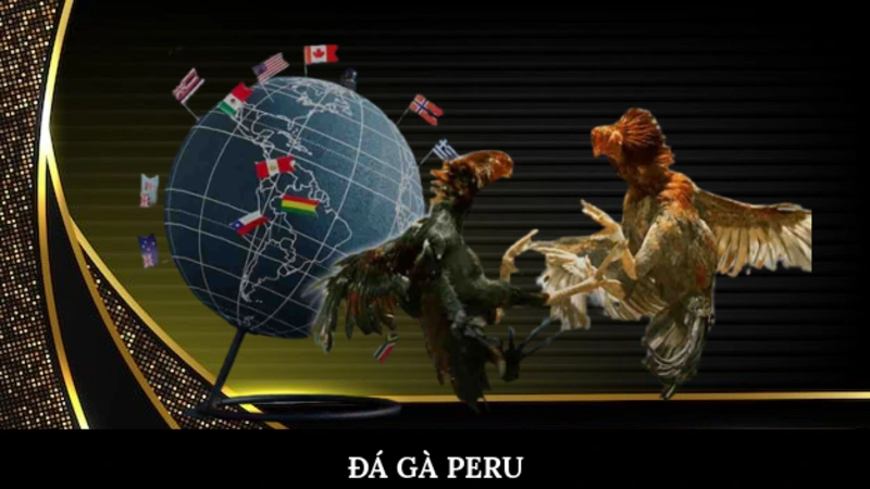 Đá gà Peru